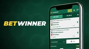Complete Guide to BetWinner APK Download Complete Guide to BetWinner APK Download
