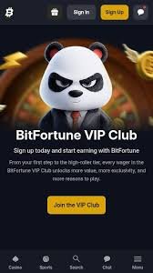 Bitfortune Casino Payment Speed Test -1143822590