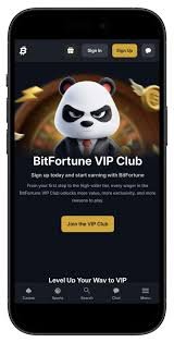 Bitfortune for New Users A Comprehensive Overview