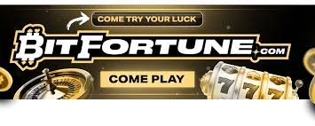 Bitfortune The Ultimate Platform for Live Casino Fans