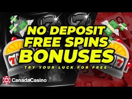 Unlock Excitement 20 Free Spins No Deposit Awaits You!