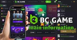 BC.Game Payments A Comprehensive Guide to Cryptocurrency Transactions BC.Game Payments A Comprehensive Guide to Cryptocurrency Transactions