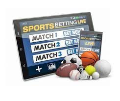 Explore the World of Betting with 1xBet Everything You Need to Know