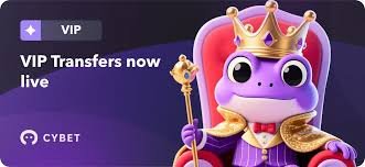 Comprehensive Review of Cybet Casino A Player’s Paradise Comprehensive Review of Cybet Casino A Player’s Paradise