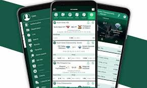 Download the BetWinner APK File for an Enhanced Betting Experience