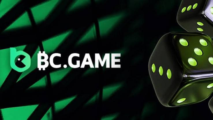 Experience the Thrill BC.Game Mobile App Review